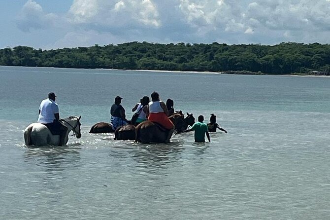 Horseback Riding in the Ocean from Ocho Rios & Runaway Bay - The Ocean Ride Is the Main Event
