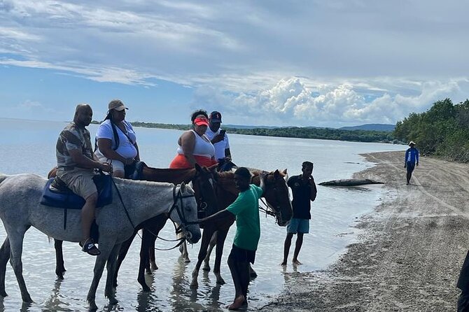 Horseback Riding in the Ocean from Ocho Rios & Runaway Bay - Group Size, Pace, and Comfort