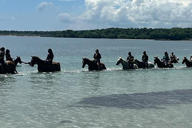 Horseback Riding in the Ocean from Ocho Rios & Runaway Bay - What Happens Once You Reach the Horses