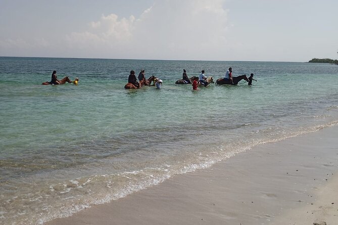 Horseback Riding plus Dunns River Falls Combo Private Tour - What the private format changes