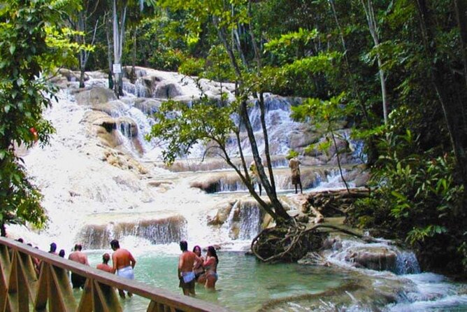 Horseback Riding plus Dunns River Falls Combo Private Tour - The Montego Bay pickup and the road to St. Ann