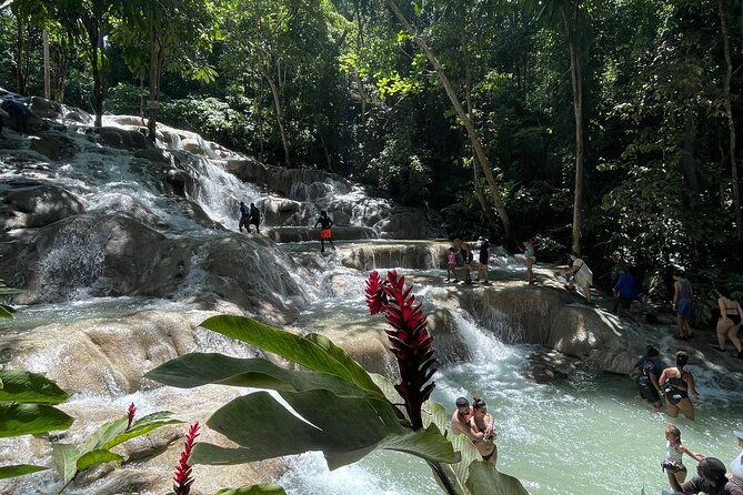 Horseback Riding/Swimming and Dunn's River from Ocho Rios - Who should book this tour