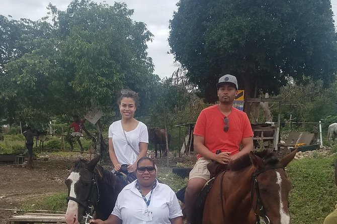 Hour Horseback Riding Guided Tour from Runaway Bay - Reaching the beach and riding into the sea