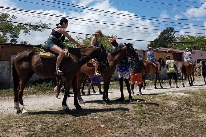 Hour Horseback Riding Guided Tour from Runaway Bay - Who should book this ride
