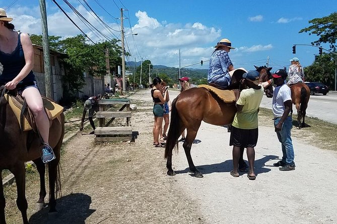 Hour Horseback Riding Guided Tour from Runaway Bay - Practical tips for a smoother outing