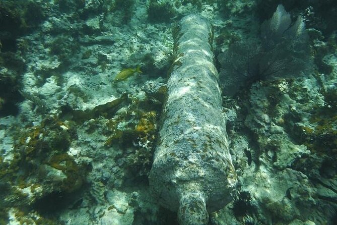 Incredible Negril Guided Snorkeling To Reef, Anchor, and Cannon - Why the crew matters for beginners