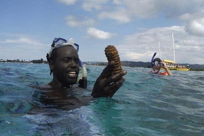 Incredible Negril Guided Snorkeling To Reef, Anchor, and Cannon - What the $65 price buys you