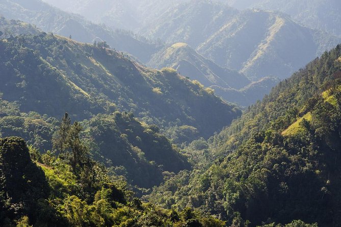 Jamaica Blue Mountain Guided Nature Tour - Key points at a glance