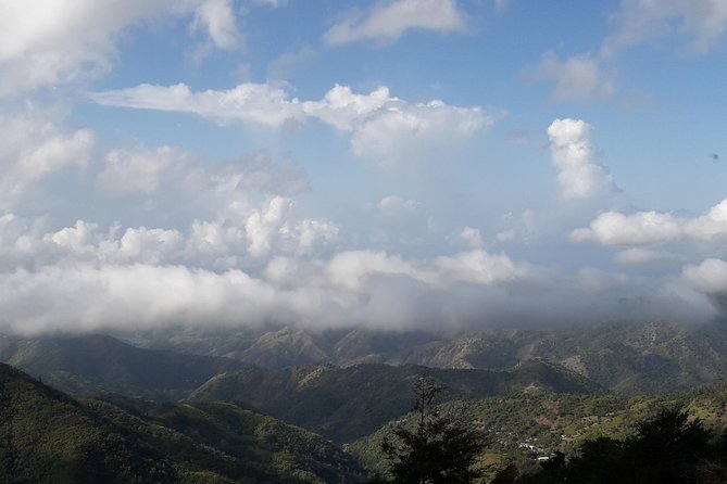 Jamaica Blue Mountain Guided Nature Tour - Leaving Kingston at 9:30 am