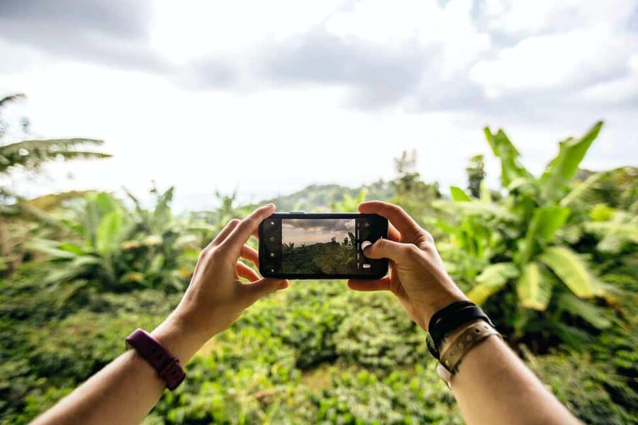 Jamaica: Blue Mountains Full Day Tour with Brunch & Lunch - Key points to know before booking