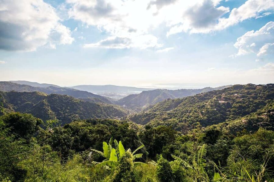 Jamaica: Blue Mountains Full Day Tour with Brunch & Lunch - Rainforest roads, herbs, and high mountain views