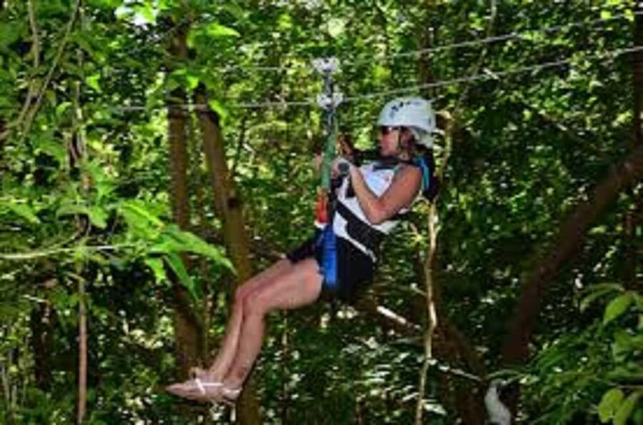 Jamaica Bobsled and Zip Line Adventure Tour - Key points to know before you book