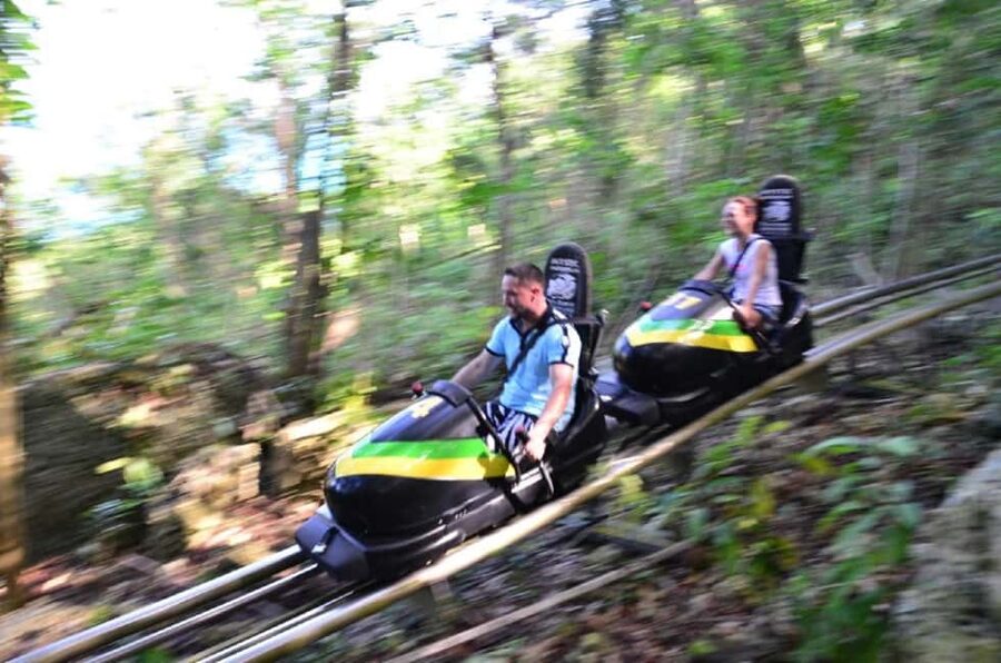 Jamaica Bobsled and Zip Line Adventure Tour - Riding the Sky Explorer above the treetops
