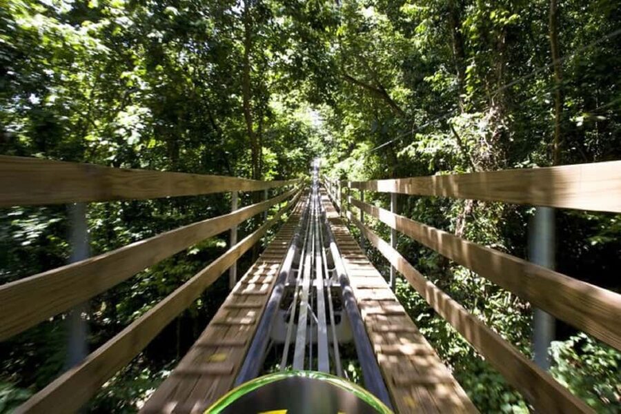 Jamaica Bobsled and Zip Line Adventure Tour - From hotel lobby to the mountain park