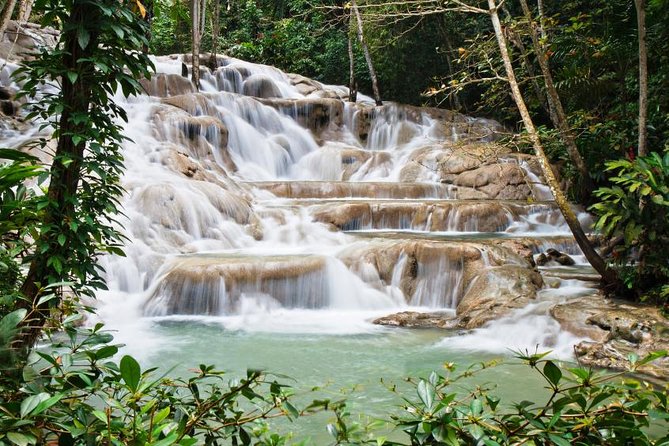 Jamaica Combo Tour: Dunn's River Falls and Bob Marley’s Nine Mile - Who will enjoy this combination most