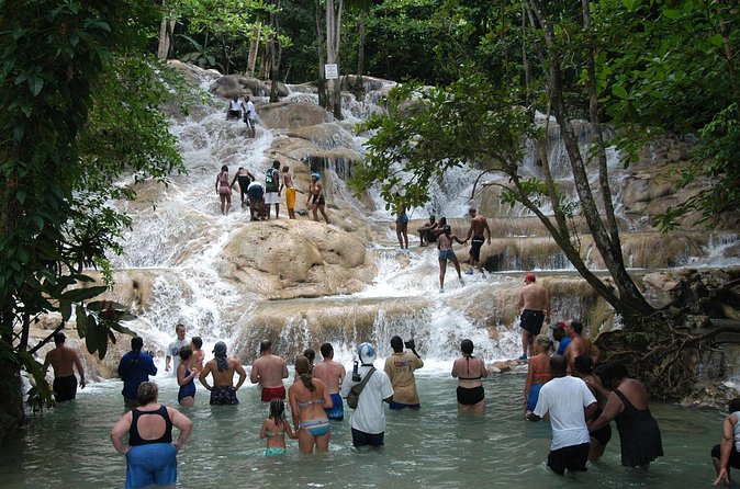 Jamaica Dunn's River Falls Party Cruise with Snorkeling - Is the $133.34 price fair?