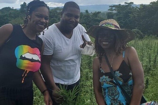 Jamaica Farm Private Dispensary Tour Montego Bay - The private farm visit in Montego Bay’s hills