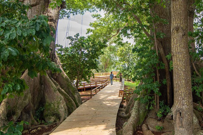 Jamaica Giants sculpture park, art galleries - The journey from Negril adds useful context