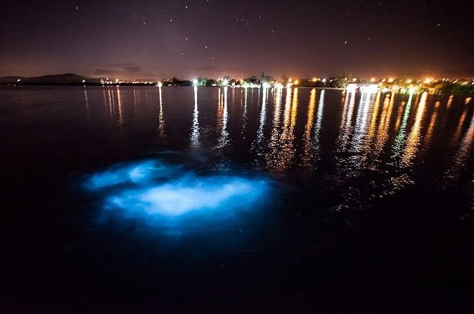 Jamaica Luminous Lagoon Private Tour with Transportation - Is $128.99 per person a fair price?