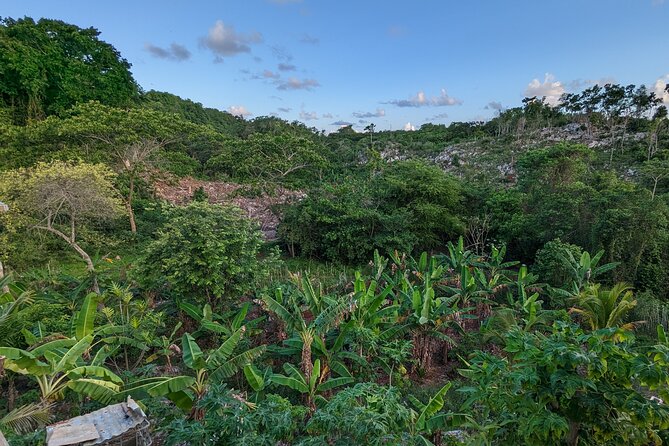 Jamaican Roots Tropical Farm Tour - Taste & Explore (Negril) 2hr - Fresh juice, fruit plates, and time on the veranda