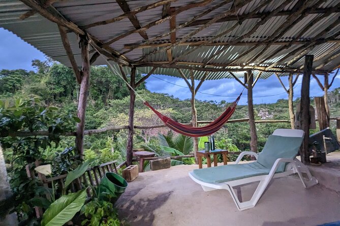Jamaican Roots Tropical Farm Tour - Taste & Explore (Negril) 2hr - Getting there, timing, and what to wear