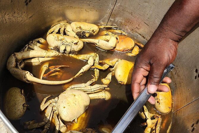 Jamaican Street Food and Rum Tasting Private Tour - Timing, pickup, and private-group comfort