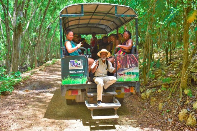 Jamwest: Zipline, Cultural Ride, and ATV Off-Road Adventure - Three Jamaican activities at one adventure park