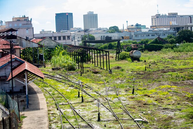 Kingston City Classic Guided Tour - Who will get the most from this tour