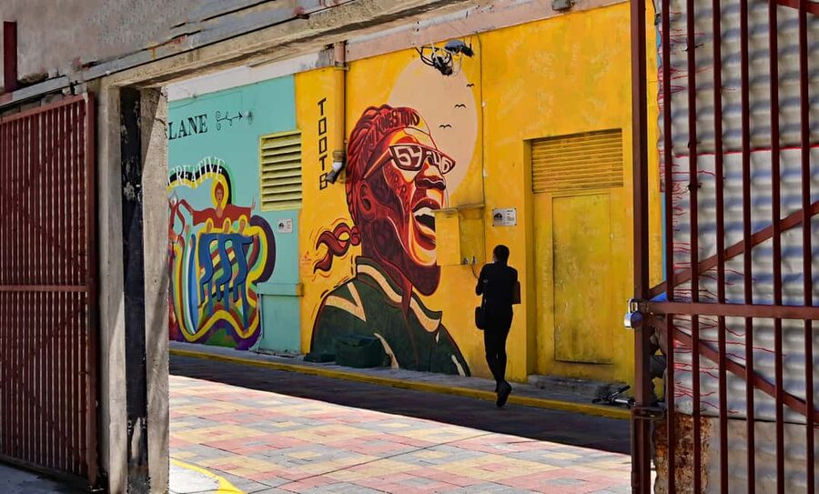Kingston Creative: Mural Art Walking Tour - What $31 buys you