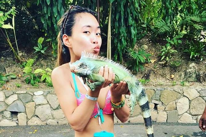 Konoko Falls and Tropical Garden Tour from Ocho Rios - What the three-hour schedule really means