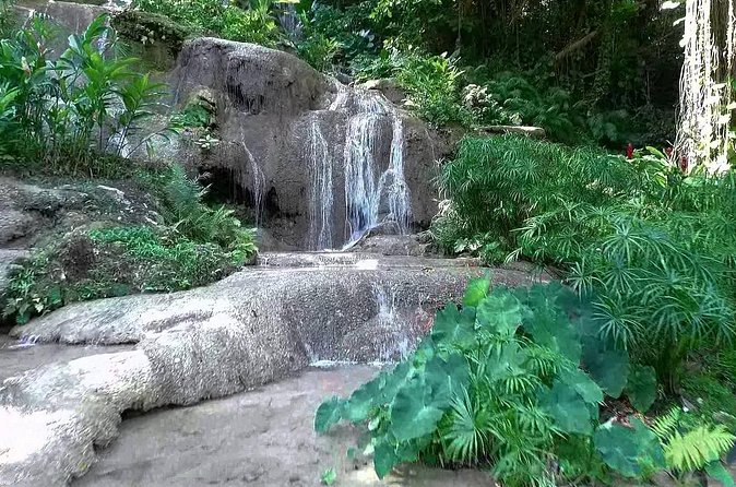 Konoko Falls and Tropical Garden Tour from Ocho Rios - Is $96.16 a fair price?