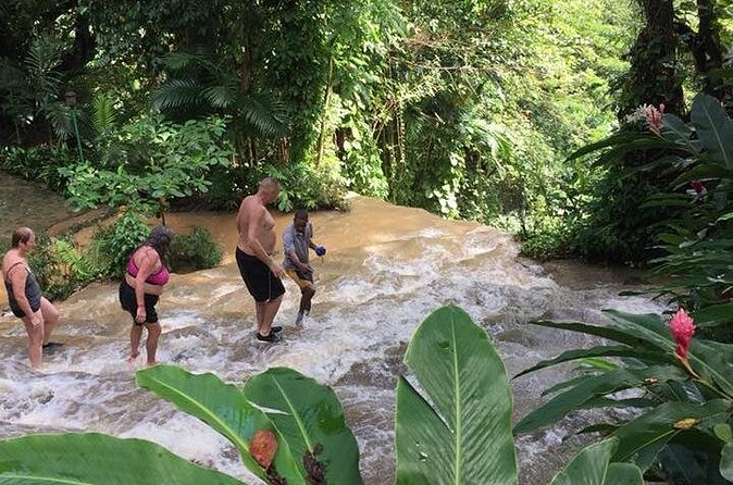 Konoko Falls and Tropical Garden Tour from Ocho Rios - Who will enjoy this outing most?