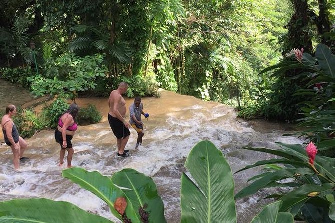 Konoko Falls and Tropical Garden Tour from Ocho Rios - Private touring and the guide experience