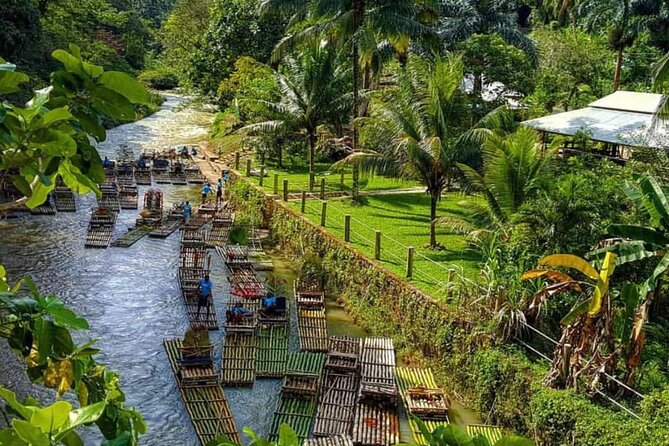 Lethe Bamboo River Rafting Tour - Jamaica's Vibest River - My booking advice