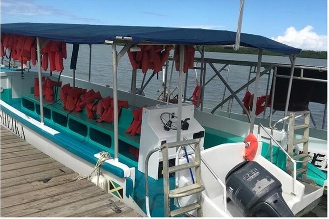 Luminous lagoon Dark night Tour from Ocho Rios and Runaway Bay Hotels - Who will enjoy this most