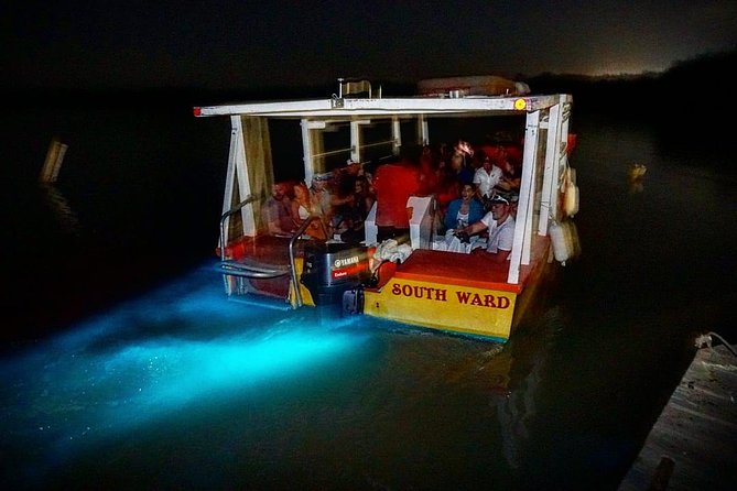 Luminous Lagoon "Glistening Waters" Tour from Grand Palladium Resorts - The ride from Montego Bay to Falmouth
