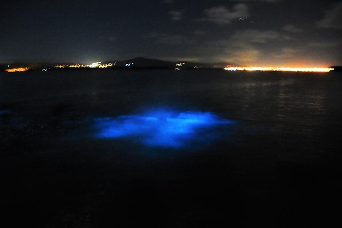 Luminous Lagoon "Glistening Waters" Tour from Grand Palladium Resorts - Swimming among the harmless lights