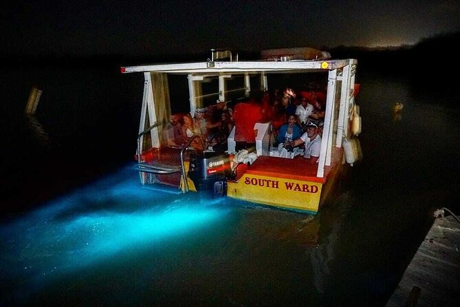 Luminous Lagoon Glow in the Dark Boat Tour from Montego Bay - Why the Luminous Lagoon feels different from a normal night cruise