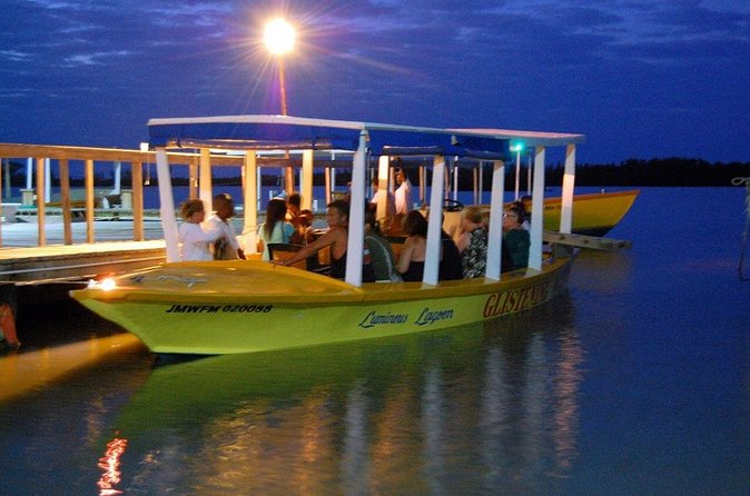 Luminous Lagoon Glow in the Dark Boat Tour from Montego Bay - Who will enjoy this short evening adventure