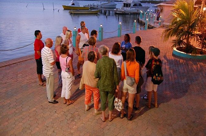 Luminous Lagoon Night Cruise From Montego Bay - Price, Timing, and Cancellation Advice