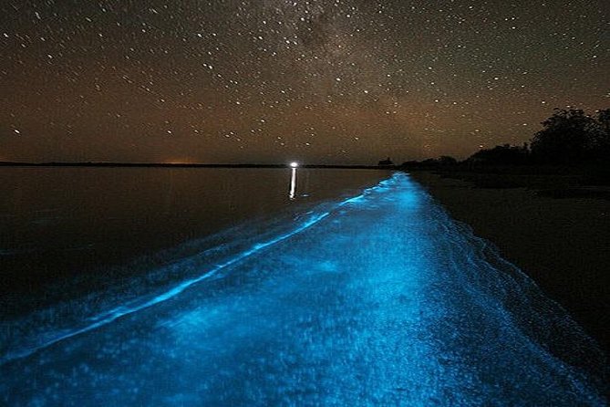 Luminous Lagoon Night-Time Tour from Montego Bay - Swimming in the glowing water