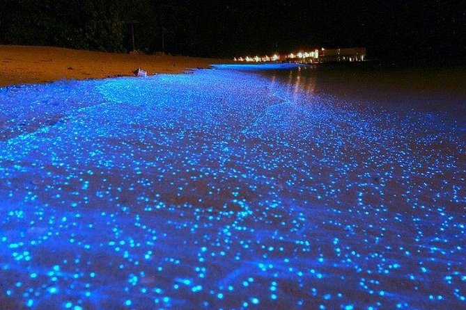 Luminous Lagoon Night-Time Tour from Montego Bay - The 10-minute boat ride to the lagoon