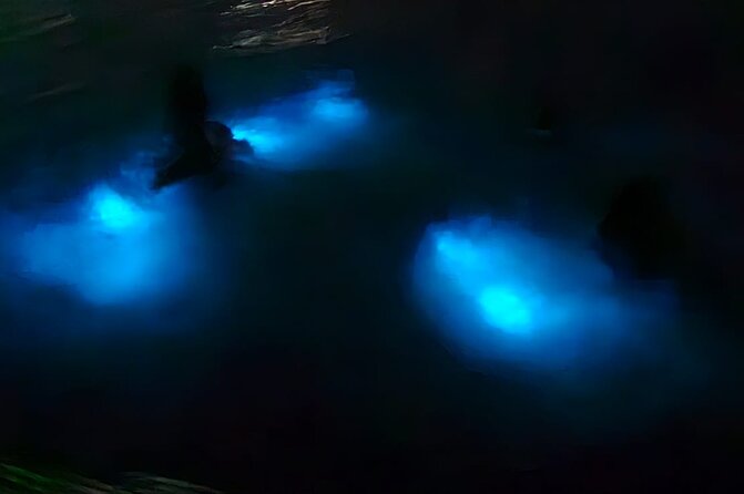 Luminous Lagoon Night Tour and Swim/Fire Dance from Montego Bay - Seeing Jamaica’s water glow after dark