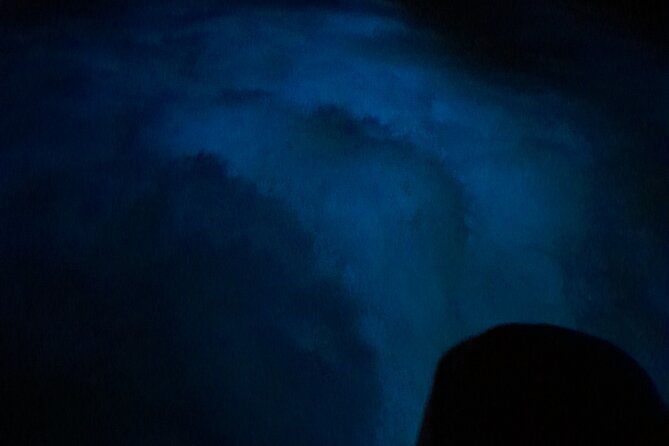Luminous Lagoon Night Tour and Swim/Fire Dance from Montego Bay - Guide service can make the difference