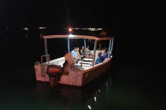 Luminous Lagoon Night Tour from Montego Bay - Small details that make the night better