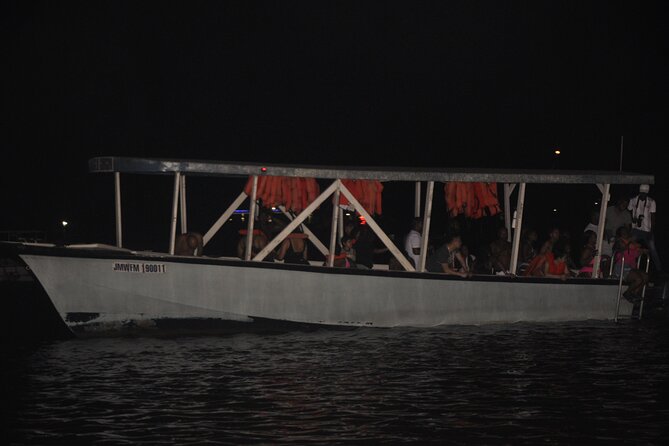 Luminous Lagoon Night Tour from Montego Bay - The boat ride into the glowing area