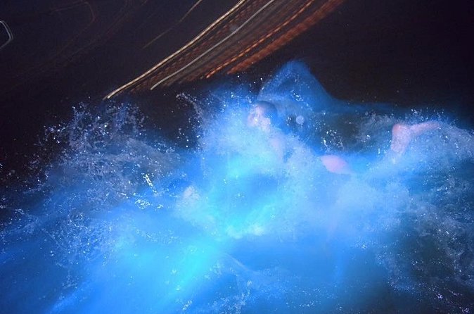 Luminous Lagoon Night Tour from Ocho Rios - The photographer question