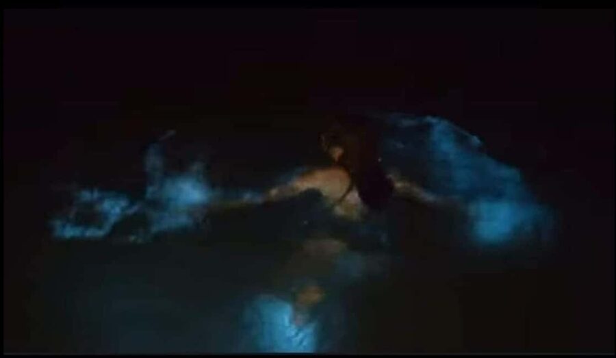 Luminous lagoon : Night Tour from Ocho Rios and Runaway Bay - Why the Luminous Lagoon Glows at Night