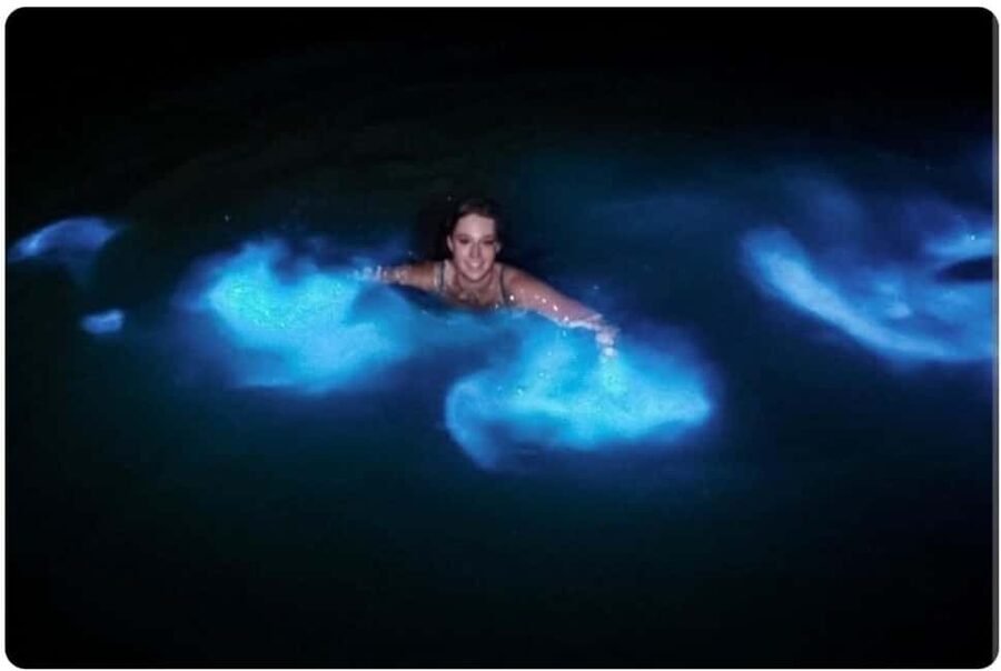 Luminous lagoon : Night Tour from Ocho Rios and Runaway Bay - From Ocho Rios or Runaway Bay to Falmouth