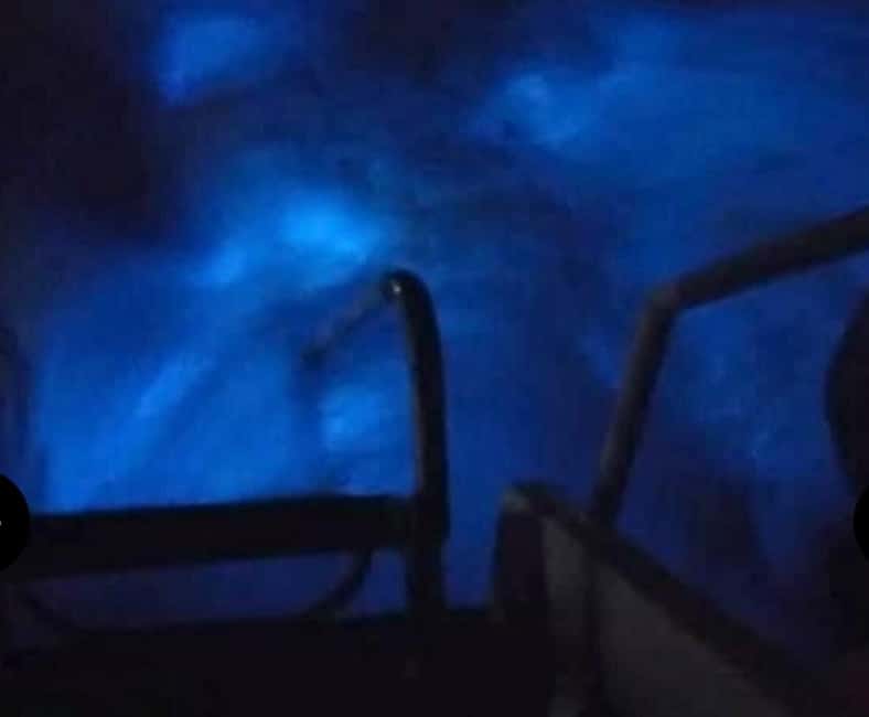 Luminous lagoon : Night Tour from Ocho Rios and Runaway Bay - How to Prepare for a Better Visit